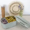 lunch-box-chauffante (15).webp